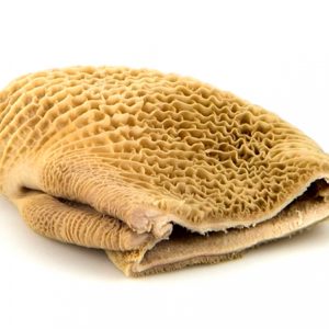 Frozen-Beef-Honeycombs-Sino dos Alpes