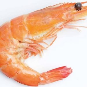 Shrimps sino dos alpes