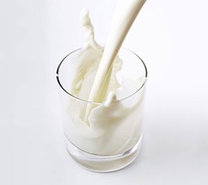 whole low fat milk sino dos alpes